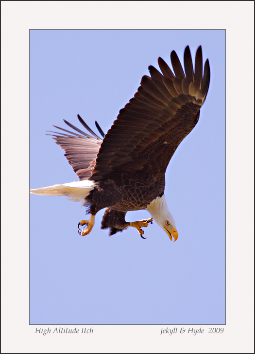 High Altitude Itch