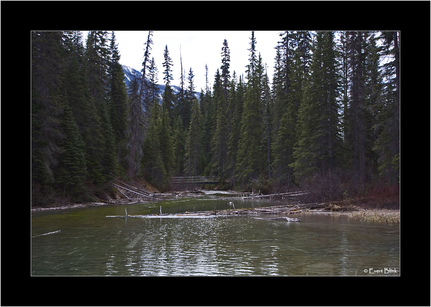 20090521_100_8928_Emerald-Lake.jpg