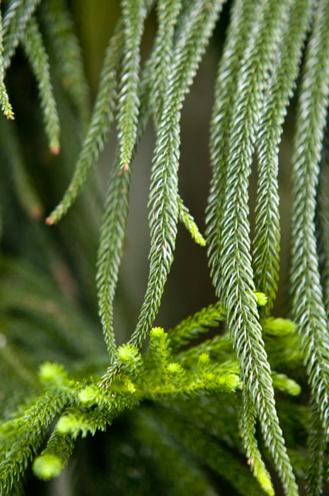 Hong Kong 香港 - 香港動植物公園