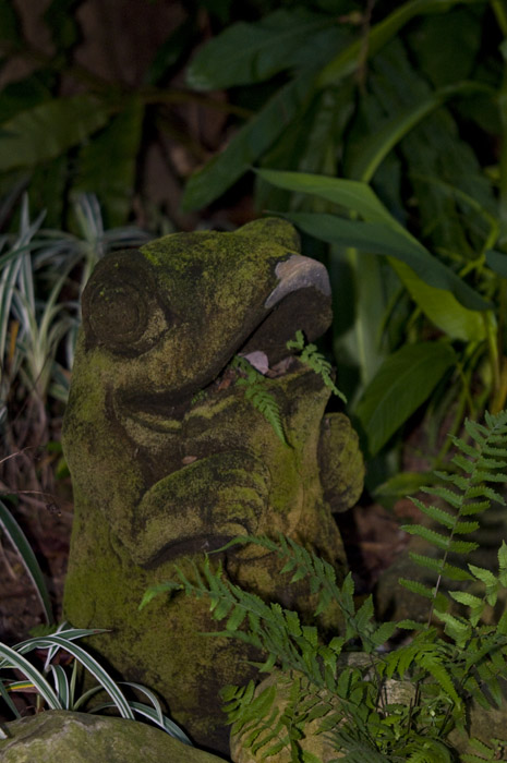 Hong Kong 香港 - 香港動植物公園