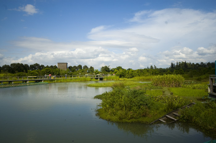 HK Wetland Park