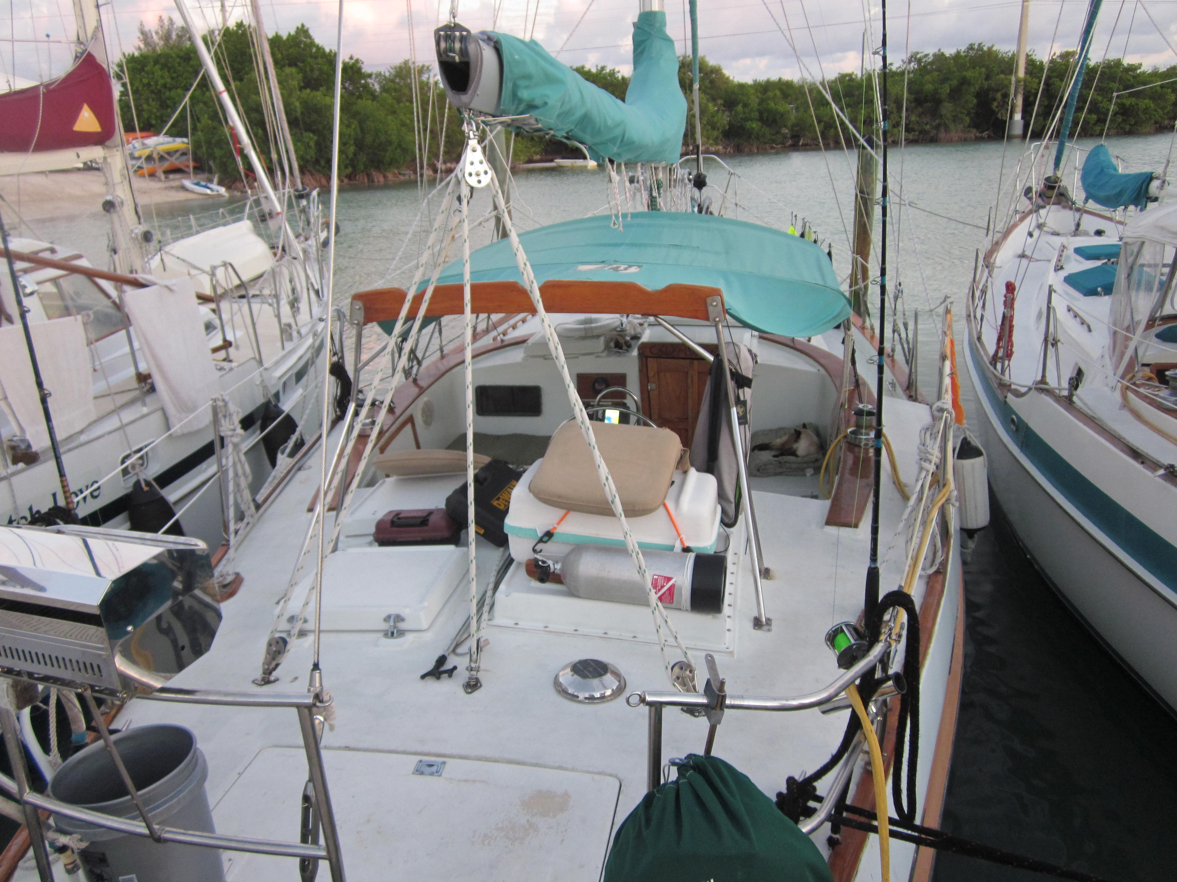 IMG_5500.JPG