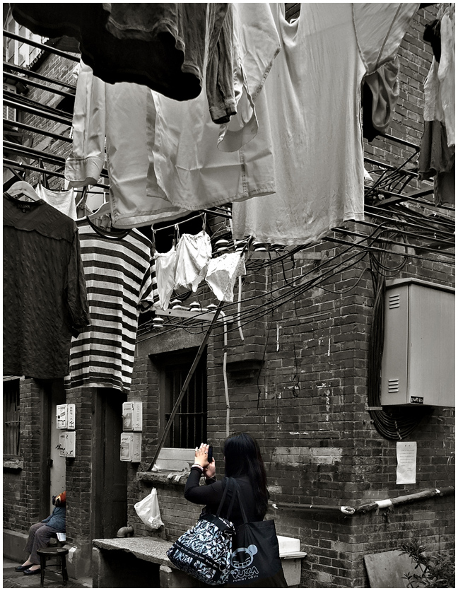 photogenic laundry