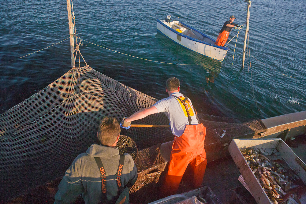 Weir_Fishing_Stage_Harbor-38.jpg