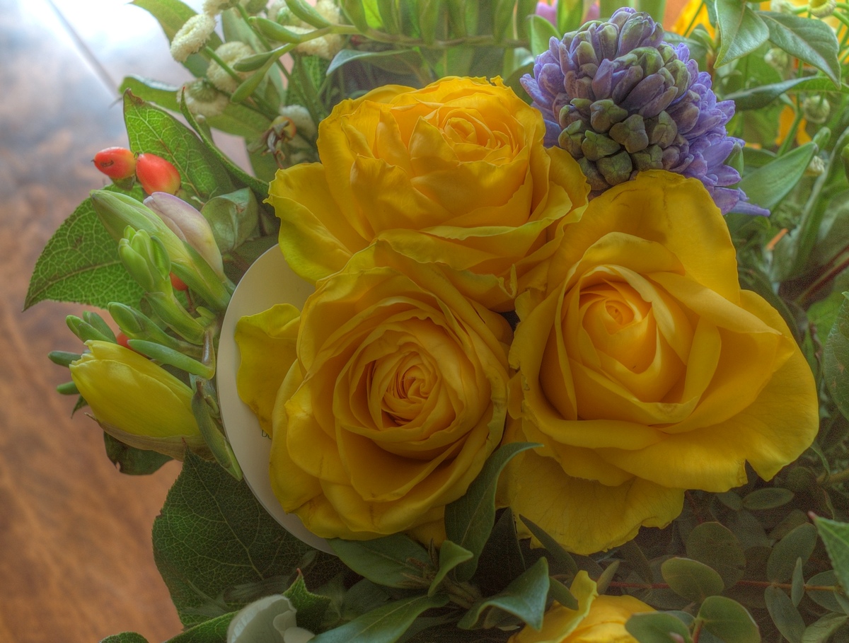 Roses jaunes.