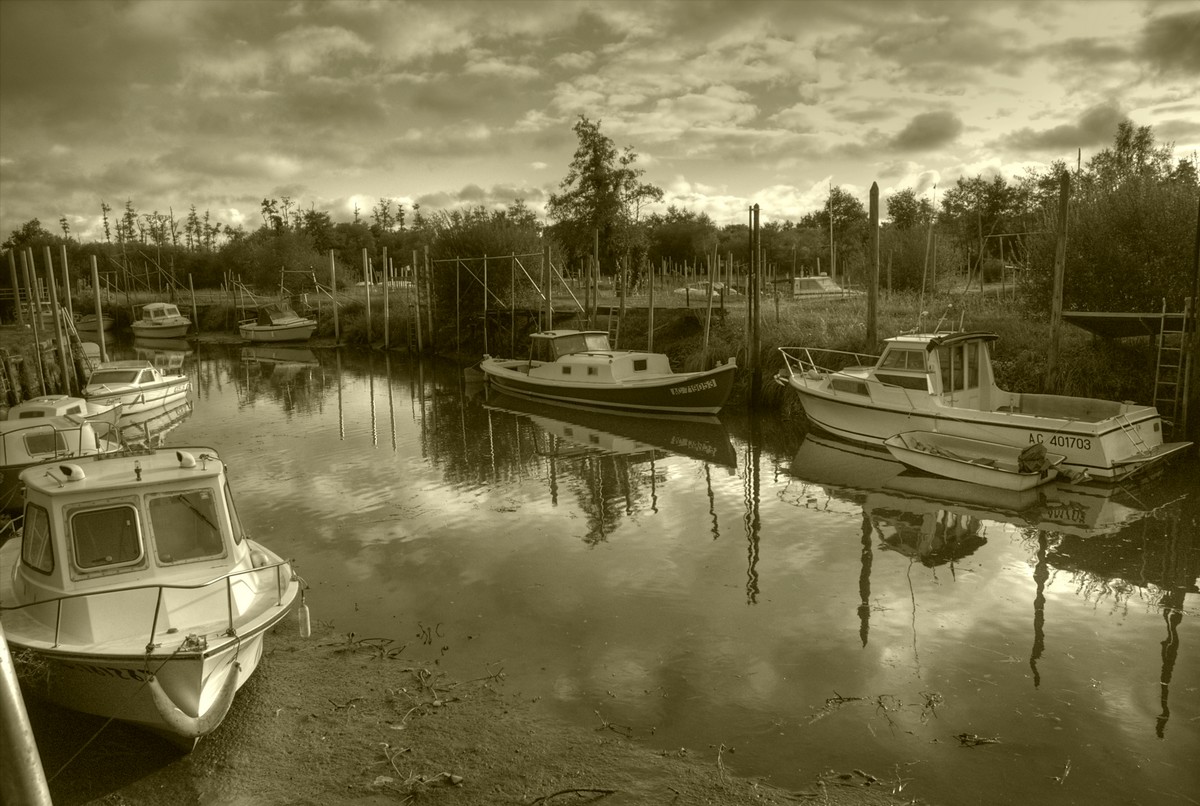 Biganos bassin dArcachon  France