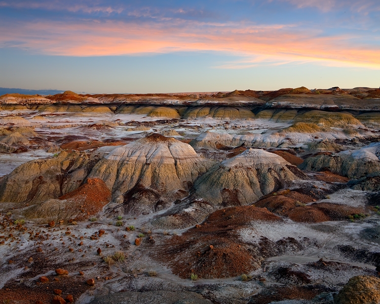 Bisti Badlands