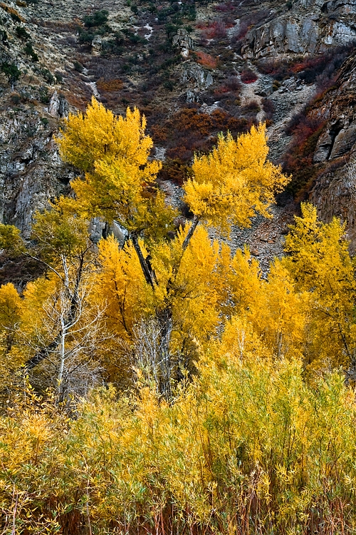 Wasatch Mtn