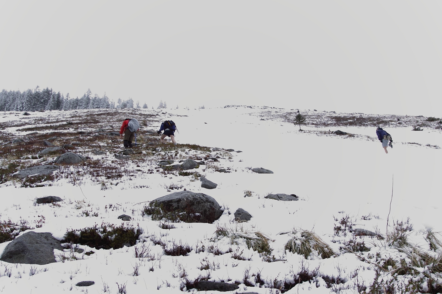 _MG_3418.JPG