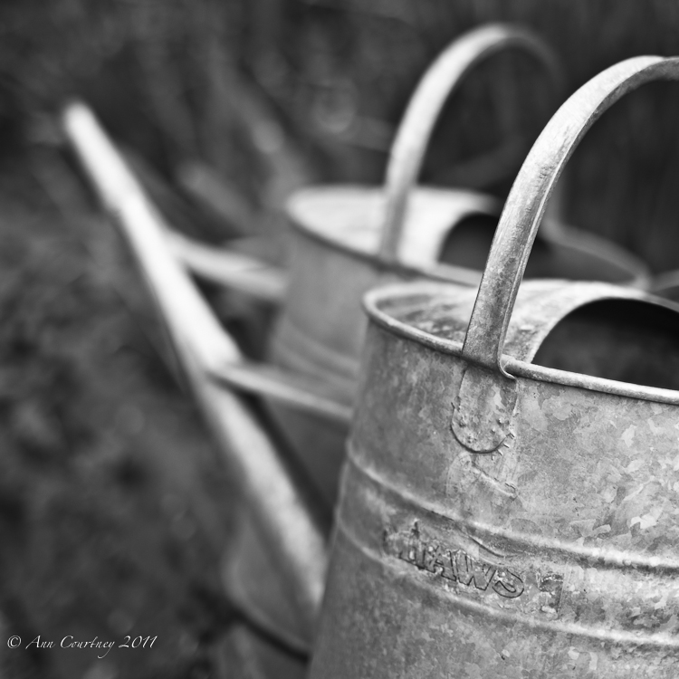 Cans