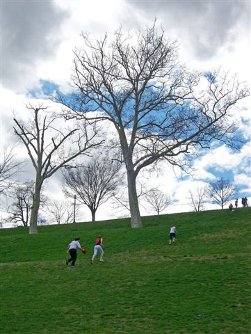 Baltimore_Up_the_Hill__3