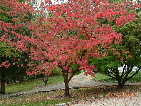 SW_DSCN0243.JPG
