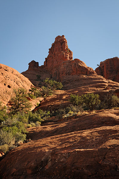 _SMV1042.jpg