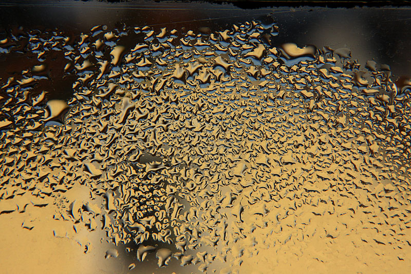 Gold Drop