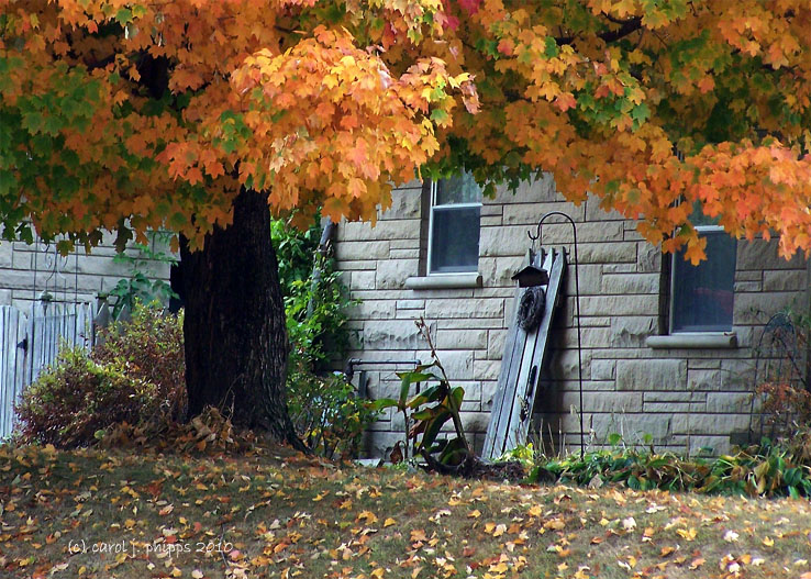 Sheltered!