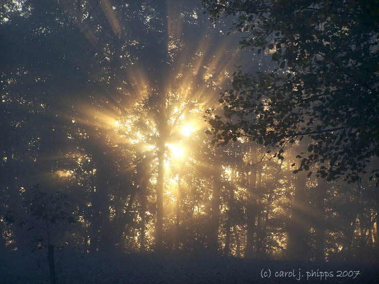 Heavy  Autumn Fog.