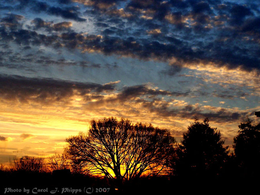 Madison Sunset.