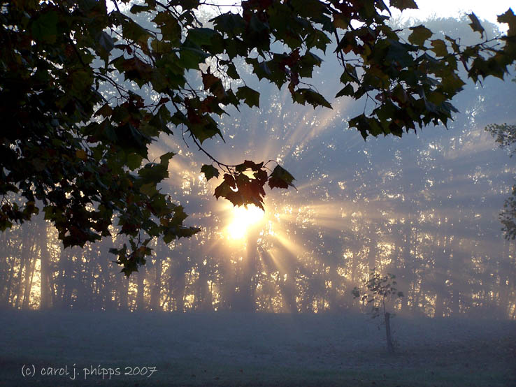 Heavy Fog.