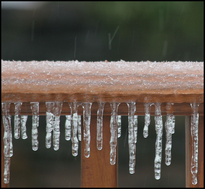 December 3, 2007               3401.jpg