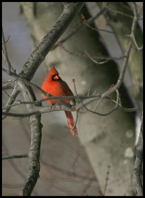 December 17, 2007            3506.jpg