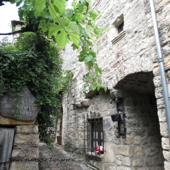 06 07 2012 GORGES DU TARN ste nimie D (12).JPG