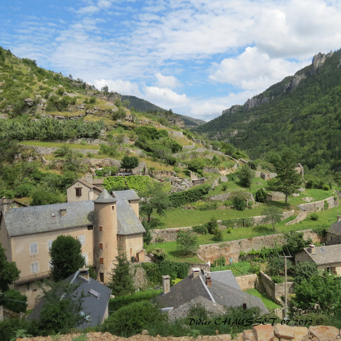 06 07 2012 GORGES DU TARN ste nimie D (25).JPG