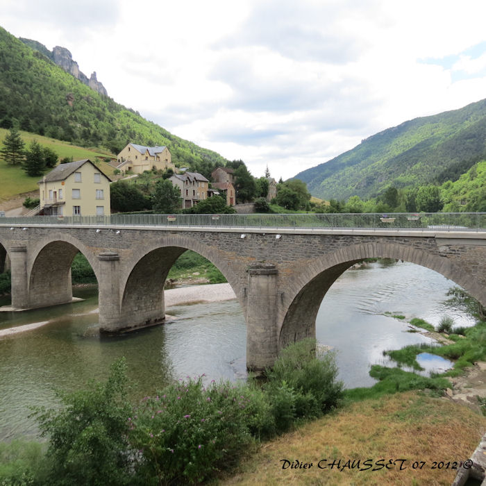 02 07 2012 GORGES TARN les vignes D (32).JPG