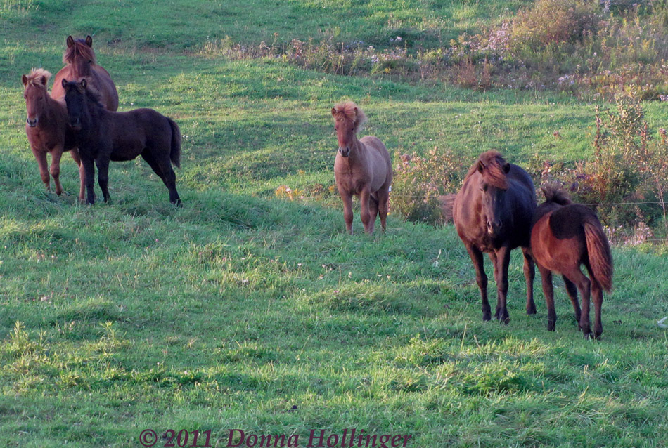 Now the other guys are checking me out.