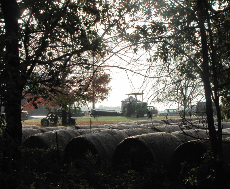 Dawn-on-the-farm.jpg