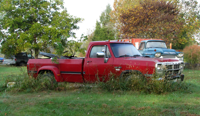 DeweyRed,oleBlue,n.pals.jpg