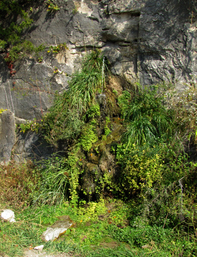 Katy-Trail-ride-10.2010_218.jpg