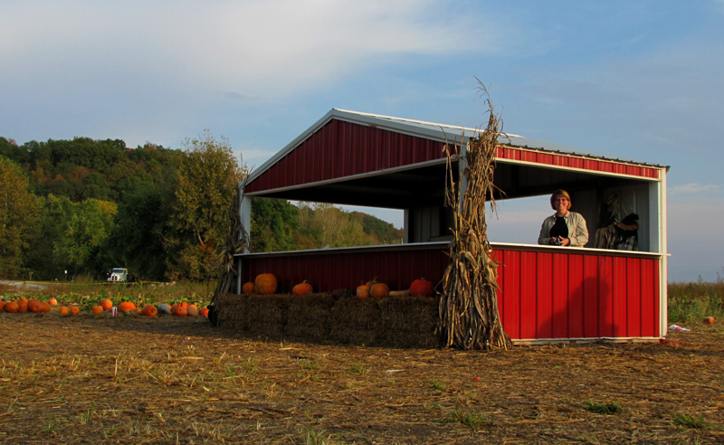 The-Pumpkin-Lady.jpg