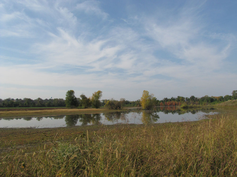 Countryside-by-Booneville.jpg