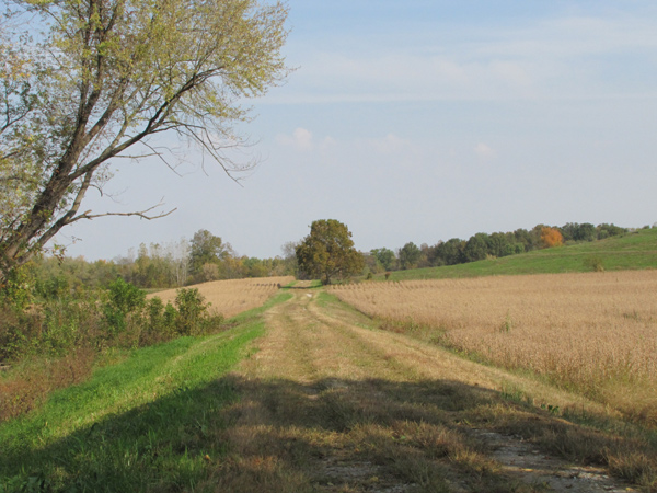 Farm-Levy.jpg