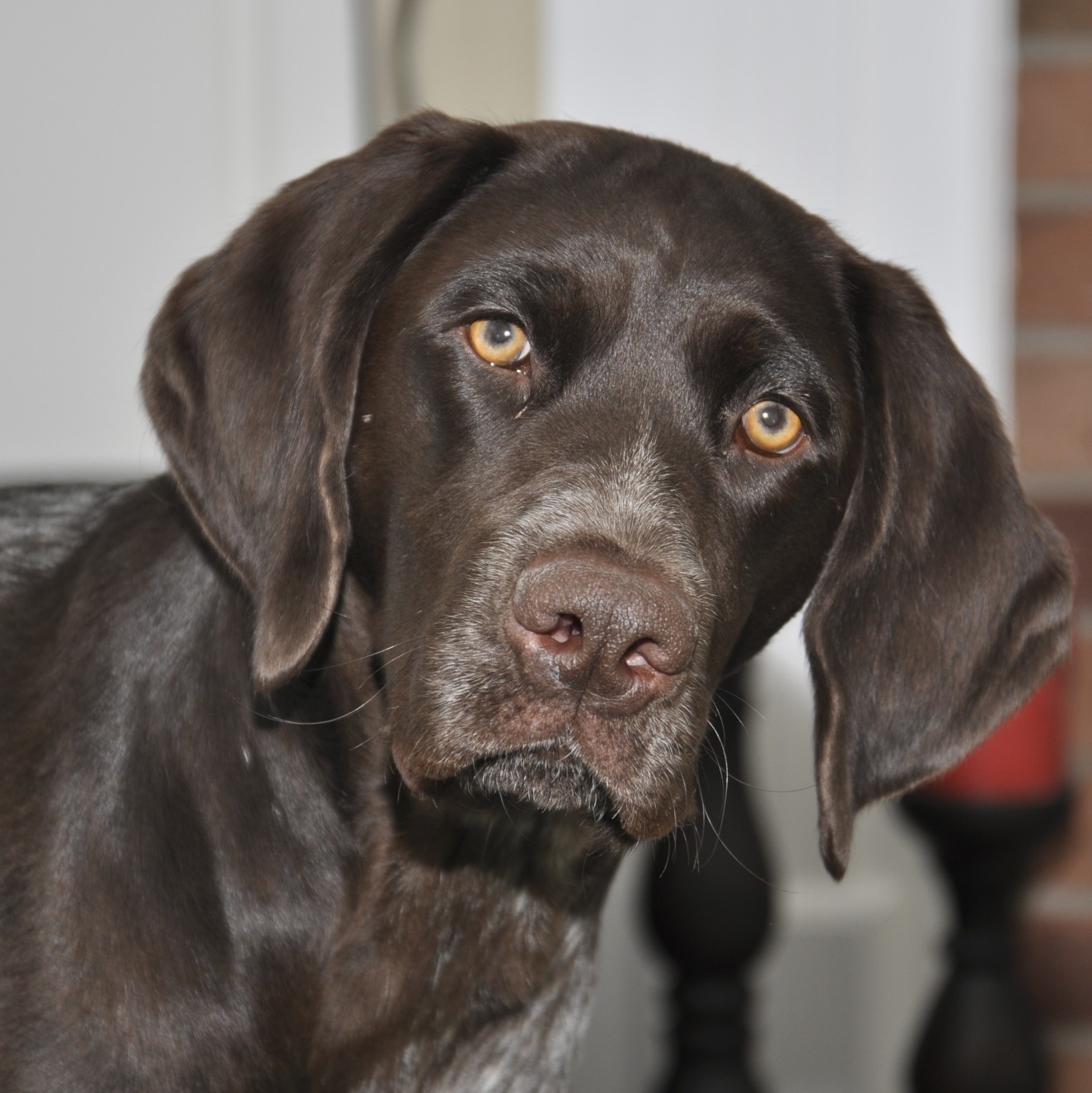 Juno - my GSP