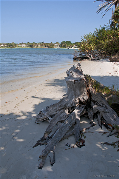 Hobe Sound beach