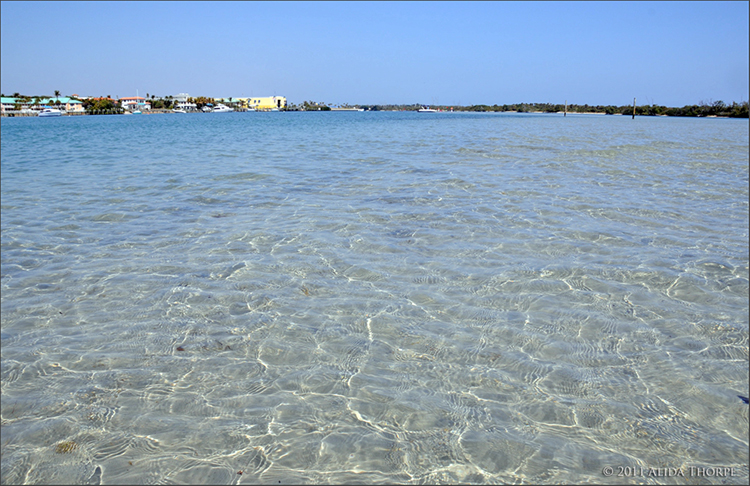 on the sandbar