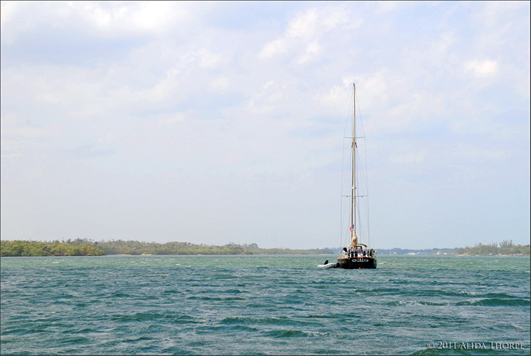 sailboat on ICW