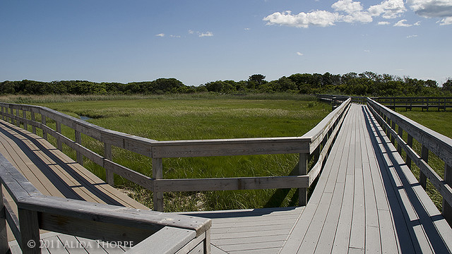 watch hill marsh