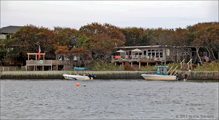 Davis Park shore.jpg