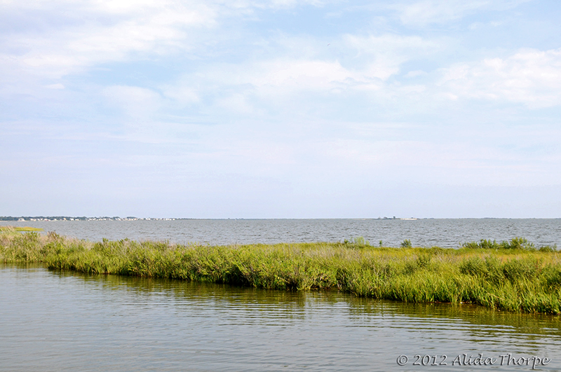 20120822_6942.jpg