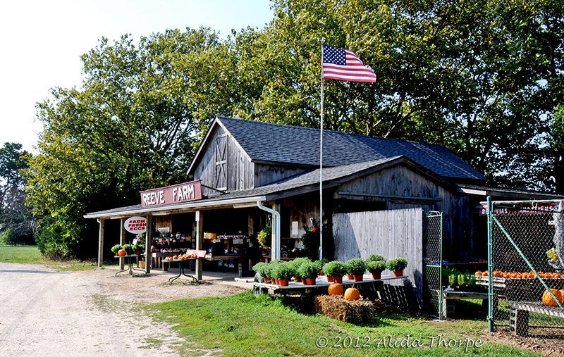 farmstand