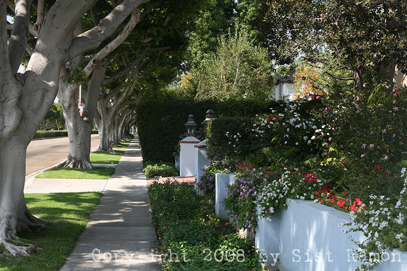 IMG_9106.jpg