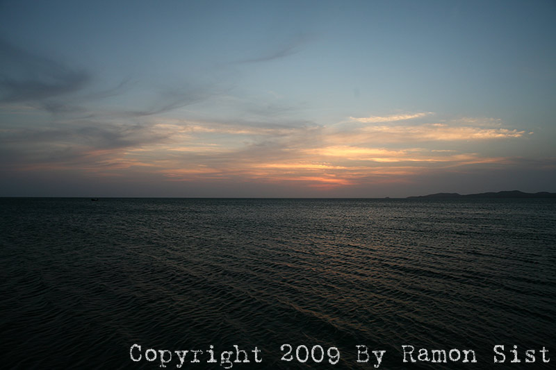 IMG_2370.jpg
