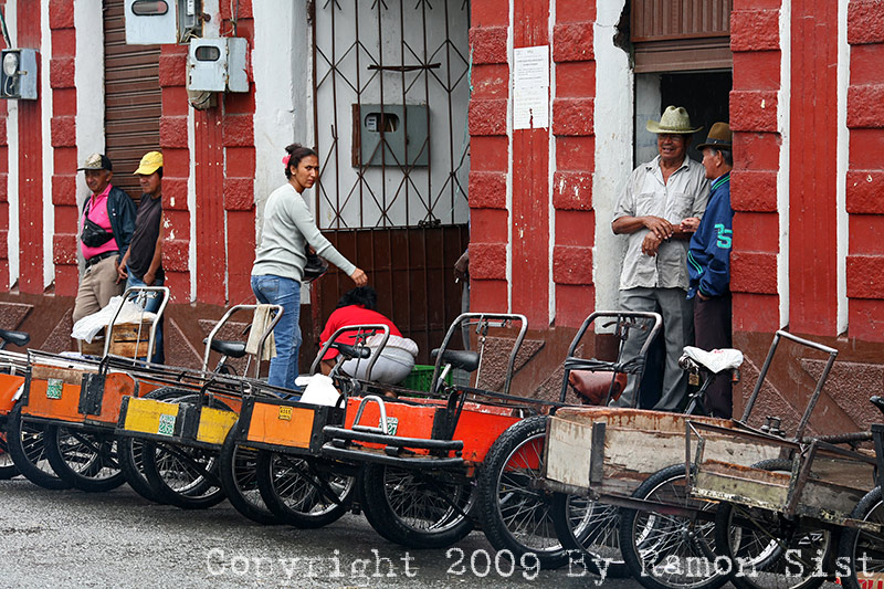 IMG_2560.jpg