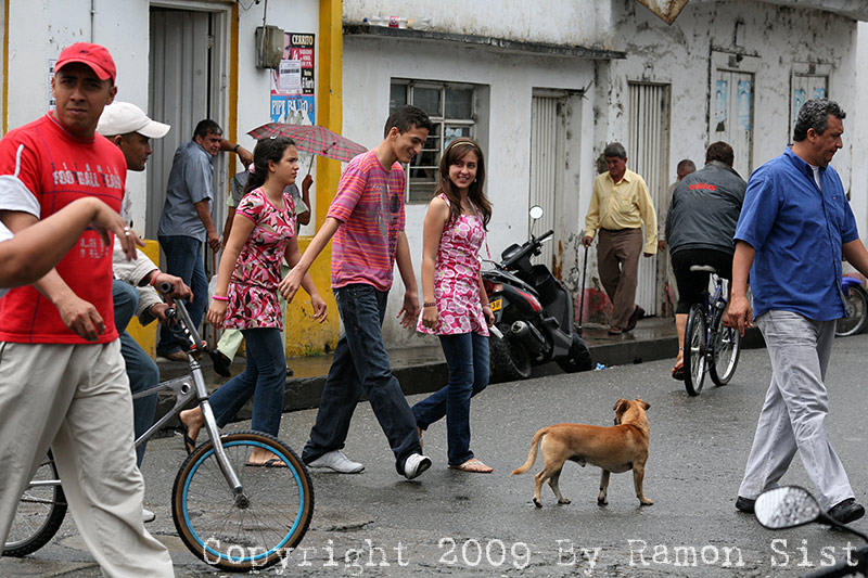IMG_2569.jpg