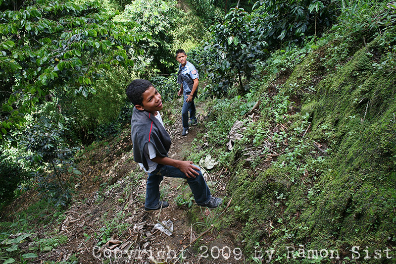 IMG_8547.jpg
