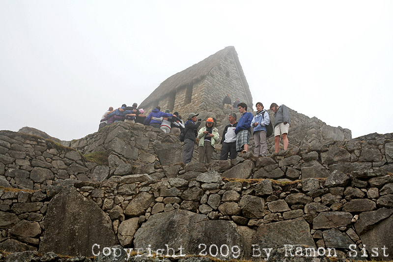 IMG_0784.jpg