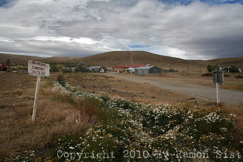 IMG_4317.jpg