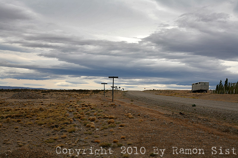 IMG_4337.jpg